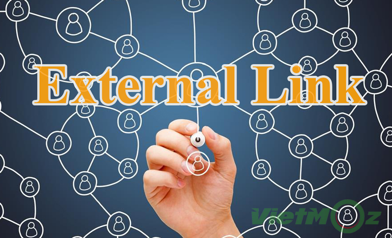 External link là gì